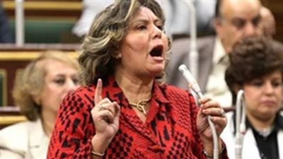 هالة مستكلى: المشروع القومى للبلازما خطوة جيده لعلاج الاطفال المبتسرين