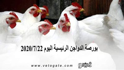 بورصة الدواجن الرئيسية اليوم 2020/7/22