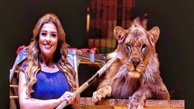 السيرك المصري الأوروبي  يستأنف نشاطه ويستقبل الجمهور الخميس المقبل