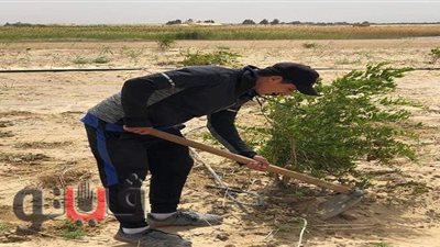 ظهير أيسر دمنهور السابق عامل  باليومية  فى مزرعة بالفيوم  | صور