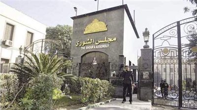 القضاء الإداري ببنها ترفض طعن المستبعدين من كشوف مجلس الشيوخ