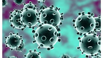 أستاذ باطنة يكشف أسباب انخفاض  الإصابات بفيروس كورونا في مصر