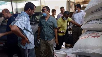 ضبط 15 طن ملح ومخللات فاسدة في الإسماعيلية