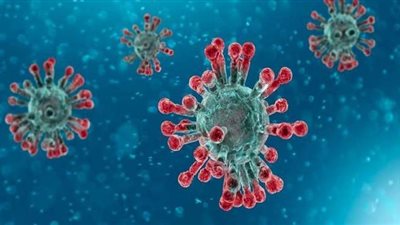 شعبة الأدوية: انخفاض أسعار 