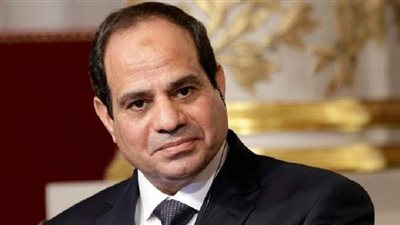 حمود أبو طالب: مصر تدافع عن العرب جميعا باعتراضها  على العدوان التركي للمنطقة ‏