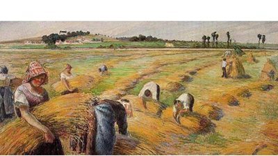 حسن الفولى:ثورة يوليو وزعت أراضى الأثرياء على الفلاحين