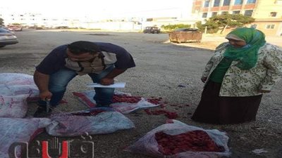 إعدام 5 أطنان مواد غذائية فاسدة وغلق ثلاجة بالشرقية | صور