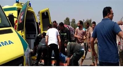 بالأسماء.. إصابة 20 شخصا في حادث مروري بطريق 