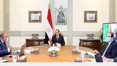 قضايا سد النهضة وليبيا واليمن وفلسطين تتصدر مباحثات الرئيس السيسي