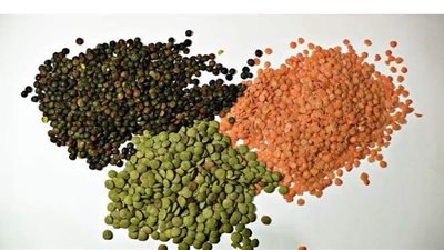 الصحة: العدس يحمي من الإمساك و القولون العصبي