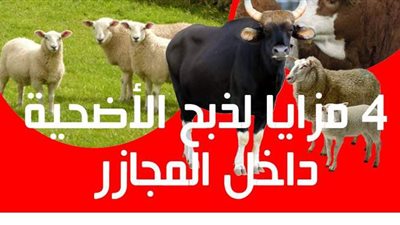 4 مزايا لذبح الأضحية داخل المجازر.. انفوجراف
