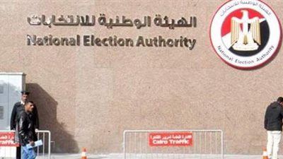 كيف يدلي المصريون في الخارج بأصواتهم عن طريق البريد؟ | فيديو