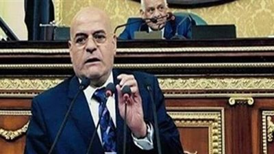 برلماني:  الشباب يتعرض لحملة ممنهجة لتدمير القيم والأخلاق