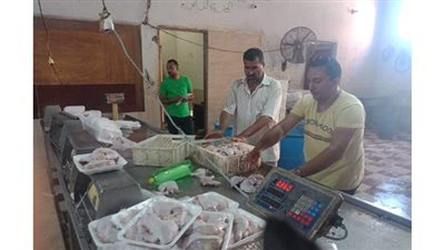 الزراعة: ضبط أكثر من 15 طن لحوم ودواجن غير صالحة للاستهلاك الآدمي في 5 محافظات