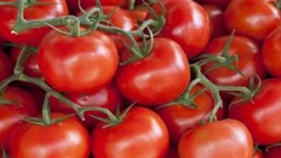 الطماطم تسجل 5 جنيهات فى الأسواق  | فيديو
