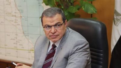 عودة 1285  عاملا مصريا من العالقين بالكويت إلى البلاد.. اليوم