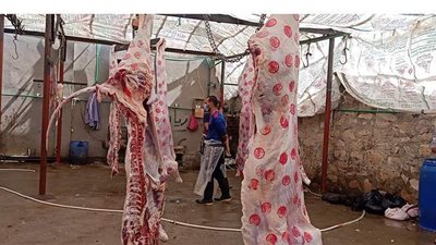 محافظ الدقهلية: ذبح الأضاحي للمواطنين بالعيد مجانا بجميع مجازر المحافظة