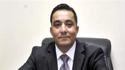 الجلاد: مصر تمتلك مؤهلات قوية لجذب الاستثمارات الأجنبية