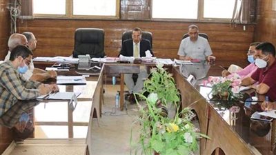 شمال سيناء تبدأ باستبدال التوك توك بسيارات الفان ببئر العبد