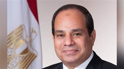السيسي يكلف باستمرار جهود حوكمة منظومة إدارة خدمات الكهرباء