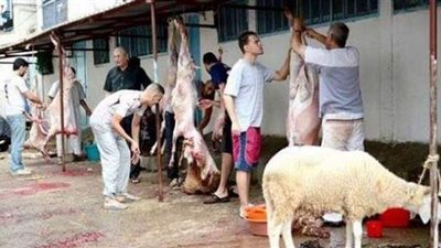 الشرقية تعلن الطوارىء استعدادا لعيد الاضحى وتفتح المجاز مجانا