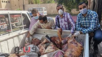 ضبط نصف طن لحوم حمير داخل أحد المنازل في سوهاج