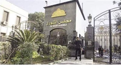 9 سيدات يقاتلن  في معركة الشيوخ بالقليوبية