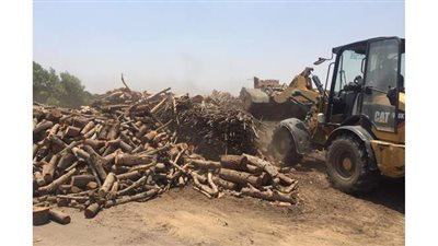 البيئة  تزيل 300 مكمورة فحم نباتي مخالفة