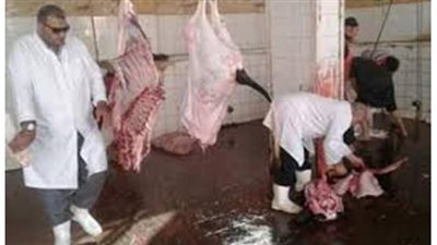 محافظ الجيزة: تجهيز ٢٣ مجزراً على مستوى المحافظة لذبح الأضاحي بالمجان