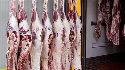 الطب البيطري بالجيزة: فتح 23 مجزرا لذبح الأضاحى مجانا.. وغرامة 5000 جنيه على المخالف