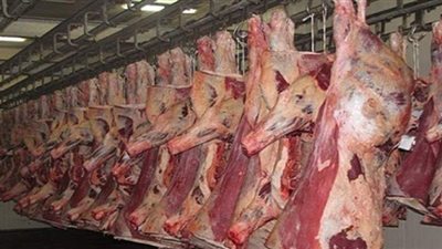 طرح لحوم بأسعار مخفضة بمنافذ البيع في الوادي الجديد استعدادا لعيد الأضحى