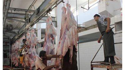 تعقيم المجازر وفتحها بالمجان خلال عيد الأضحى في الوادي الجديد