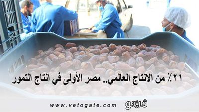 ٢١٪؜ من الإنتاج العالمي.. مصر الأولى في إنتاج التمور  | إنفوجراف