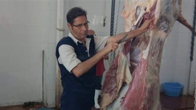 مجازر جنوب سيناء بالمجان للمواطنين بمناسبة عيد الأضحى المبارك