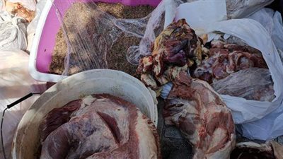 ضبط لحوم وأسماك فاسدة قبل طرحها في العيد بأسواق الفيوم