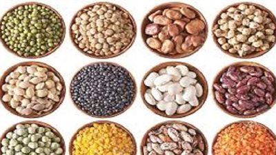 أسعار البقوليات اليوم 28 / 7 / 2020