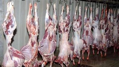 القاهرة تعلن الطوارئ بالمجازر.. وإلغاء إجازات الأطباء