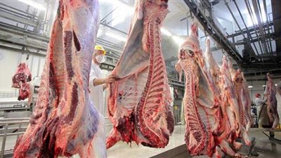 اسعار اللحوم البلدية  قبل ساعات من وقفة عرفات