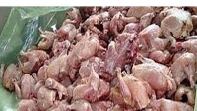 ضبط ١٢ طن دواجن فاسدة ولحوم مذبوحة خارج المجازر بالجيزة