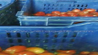 ضبط مصنع صلصة غير صالح للاستخدام الآدمى بالشرقية