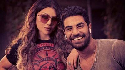 محكمة الأسرة ترفض دعوى وزيري لإثبات زواجه من هيفاء وهبي