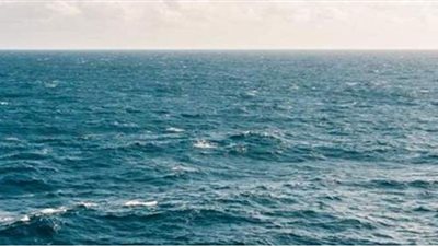 من عصر الديناصورات.. علماء يعيدون كائنات حية من أعماق المحيط الهادئ للحياة