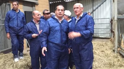 وزير الزراعة يتفقد عددًا من مزارع الإنتاج الحيواني في هولندا
