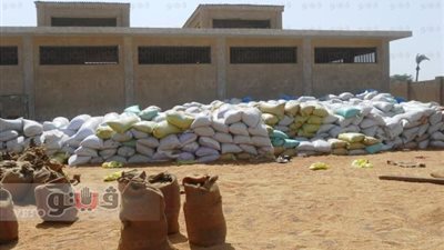 بالصور.. الإهمال يهدد «قوت الغلابة» ببني سويف.. شون القمح الترابية تهدر 20% من المحصول.. العصافير والفئران تقضي على آلاف الأطنان.. والزراعة: تطوير 5 صوامع جديدة