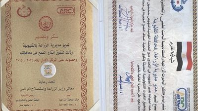 زراعة القليوبية تحصل على المركز الأول في معدل إنتاجية فدان القمح