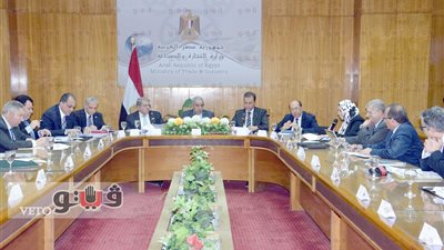 وزير المالية: الانتهاء من تطبيق النموذج الجمركي الموحد قريبا