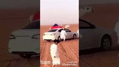 بالفيديو.. رد فعل أشخاص هجم عليهم جمل هائج