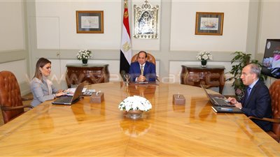 السيسي يكلف بالإسراع في تنفيذ المشروعات التنموية
