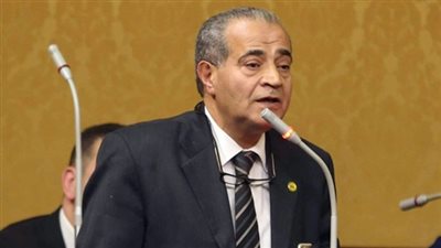 علي مصيلحي: اقتصاد مصر «حرج» بشدة