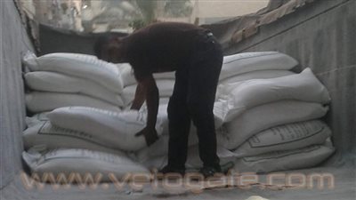 بالصور.. تعبئة 50 طن سكر بالعجمي بمشاركة شعبية